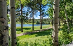 210 Fox Acres Dr W, Red Feather Lakes, CO 80545