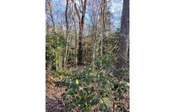 0 Bull Neck Rd, Caret, VA 22436