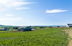 Sharptail lot: 190, Three Forks, MT 59752