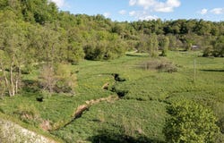 Lot 1 N Fork Ln, Viola, WI 54664