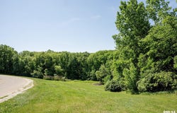 Lot 1 HIDDEN POINT Drive, Glasford, IL 61533