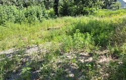 8080 Water Tower Rd, Talihina, OK 74571
