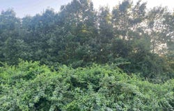 LYNN WINNON ROAD, Oak Ridge, LA 71264