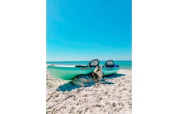 572 Jones Homestead Rd, Port St. Joe, FL 32456