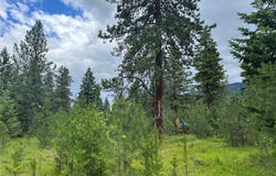NHN Jewel Lane lot: 23, Trout Creek, MT 59874