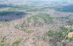 CR 277, OXFORD, MS 38655