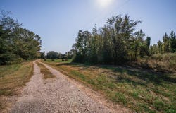 325 County Road 2715, Mineola, TX 75773