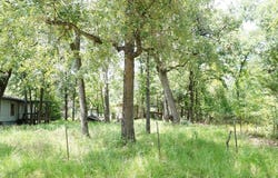 6136 Apache Drive, Mabank, TX 75156