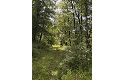 Tbd 70 M/L Acre Mill Road, Wauzeka, WI 53826