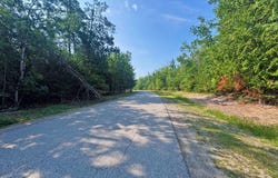 395 & 396 Balsam Drive, Presque Isle, MI 49777