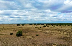 1588 County Road 118, Carlton, TX 76436
