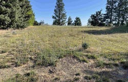 Nka Ponderosa Drive Lot 2, Potlatch, ID 83855