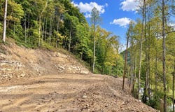 450 Peter Fork Rd, McCarr, KY 41544