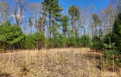 6033 Hwy 321, Sugar Grove, NC 28679