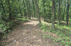 18195 N Hwy 65, Saint Joe, AR 72675