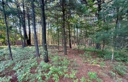 15 S Westview Drive, Empire, MI 49630