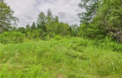 Map7 Lot21, Sherman, ME 04776