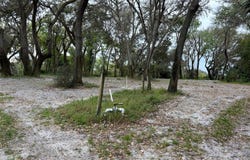 CHAMELEON ROAD, PIERSON, FL 32180