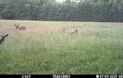 40 Acres W Poertner Road, Neillsville, WI 54456