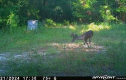 Parcel A&B Sunburst Drive, Crestview, FL 32539