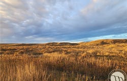 Nickwall Rd, MT 59274