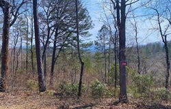 Lot 28 Wildflower, Warne, NC 28909