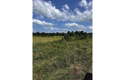 001 Fm-144, Daingerfield, TX 75638