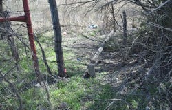 12112 Fm 51, Era, TX 76238