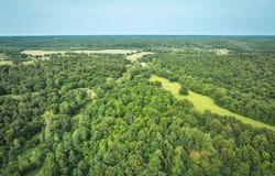 TBD Burley Ridge Rd, Cook Station, MO 65449
