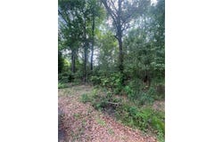 Lot 1 NOLA Lane, Bogalusa, LA 70427