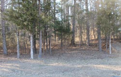 Lot 8 Grand Avenue, Fort Payne, AL 35967