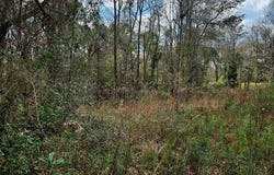 NHN Hwy 11, Poplarville, MS 39470
