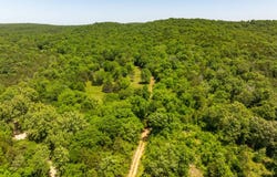 AR Hwy 58, Williford, AR 72482