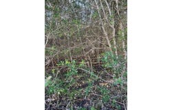 Lot 631 Hilea CT, Bastrop, TX 78692