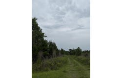 State, Holly Hill, SC 29059