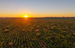 7824 E County Road 16, Johnstown, CO 80534