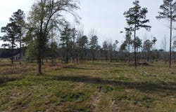 Lot 29 Tungoil Rd, Pine Grove, LA 70453