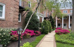 237 W MONTGOMERY AVENUE, HAVERFORD, PA 19041