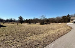 Primrose & Honeysuckle Lane, Houston, MO 65483