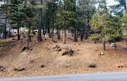 27315 Pinewood Drive, Lake Arrowhead, CA 92352