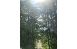 0 Vaughn Road, Hale, MI 48739