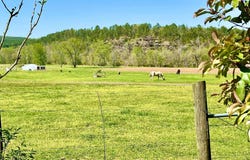 1112 Silver Rock Road, Shirley, AR 72153
