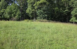 Mitchell Valley Rd lot: 0, Marion, VA 24354