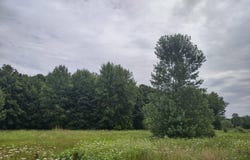 475 Tyler Road, Wayland, MI 49348