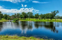 10092 County Road 446, Snook, TX 77878