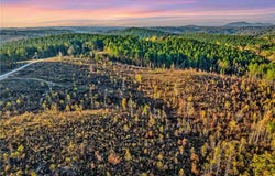 223 Bear Creek Road, Talking Rock, GA 30175