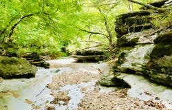 795 Anthony Road, Pineville, MO 64856