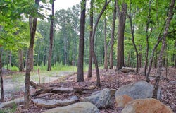 148 Lookout Ridge Way, Rougemont, NC 27572