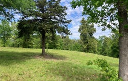 Ridgeline Loop, Winona, TX 75792