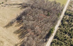 V/L Waterwheel Road, Six Lakes, MI 48886